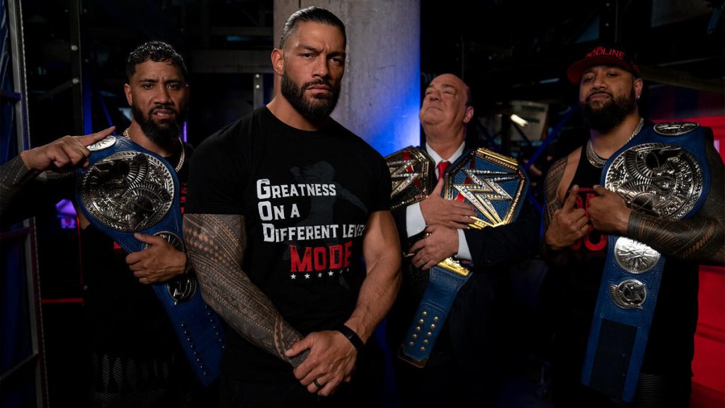 What Are The Best WWE Storylines In History?  