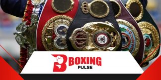 Current world boxing champions: WBA, WBO, WBC, IBF टाईट्ल होल्डर  