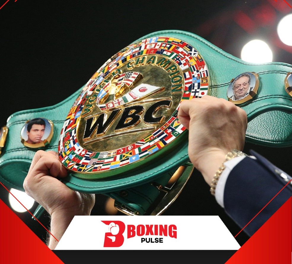 क्या Boxing और UFC बेल्ट असली सोने से बने होते हैं?, जानिए कीमत  