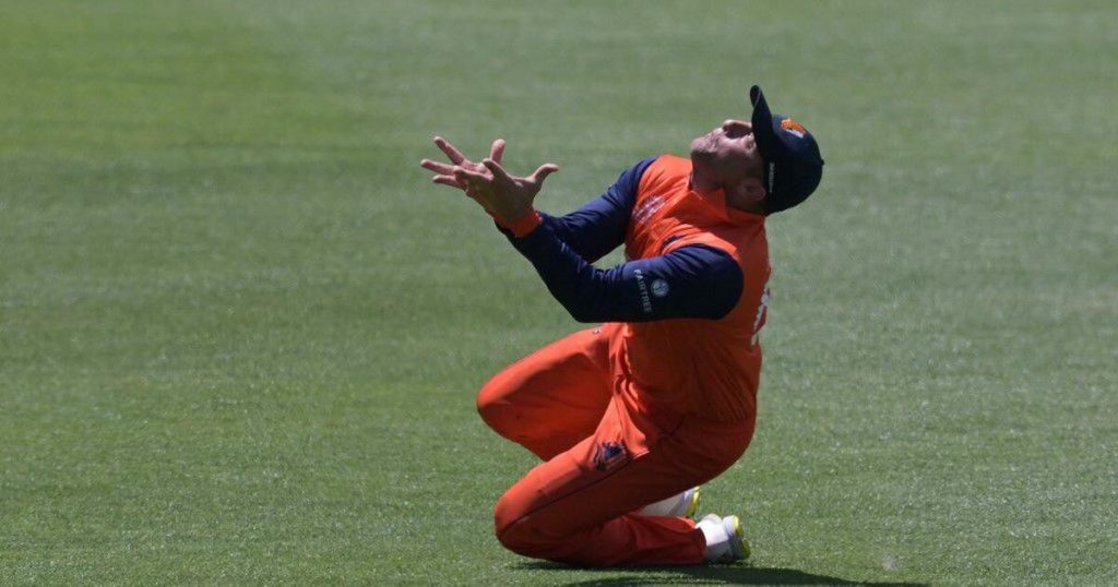 Cricket Tips & Tricks: Tips To Improve Your Catching Skills Cricket Tips & Tricks: Tips To Improve Your Catching Skills