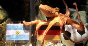 Paul the Octopus and His Unforgettable Legacy Paul the Octopus and His Unforgettable Legacy