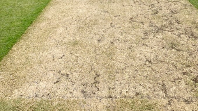 Ranchi Pitch Hints at Spin Showdown in Penultimate Test Ranchi Pitch Hints at Spin Showdown in Penultimate Test