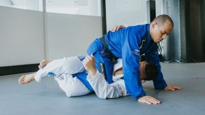 Get To Know Everything About The Full Mount  