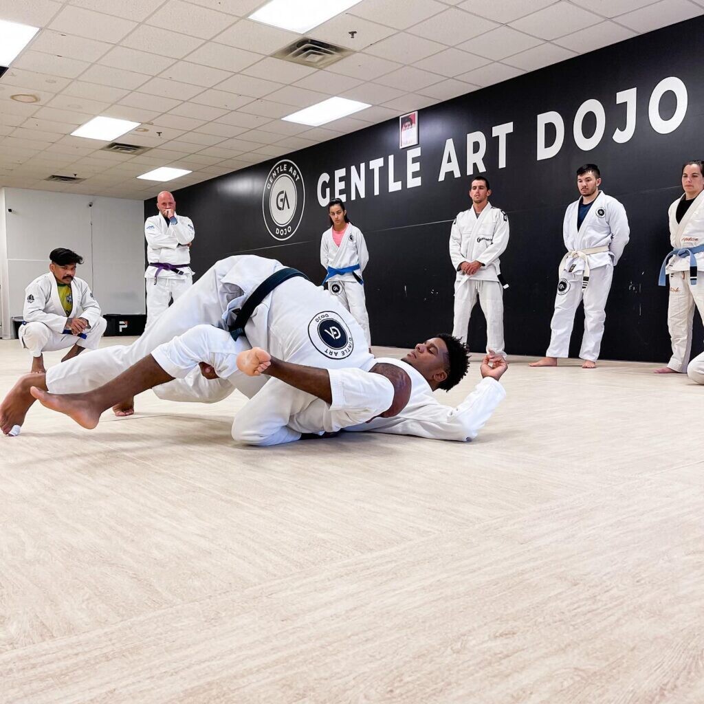 Brazilian Jiu-Jitsu History: The Perfect Martial Art Brazilian Jiu-Jitsu History: The Perfect Martial Art