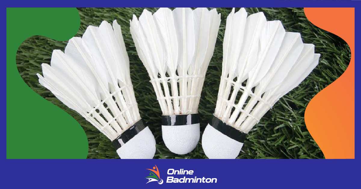 Badminton : बैडमिंटन बर्डी कैसे उड़ता है?  