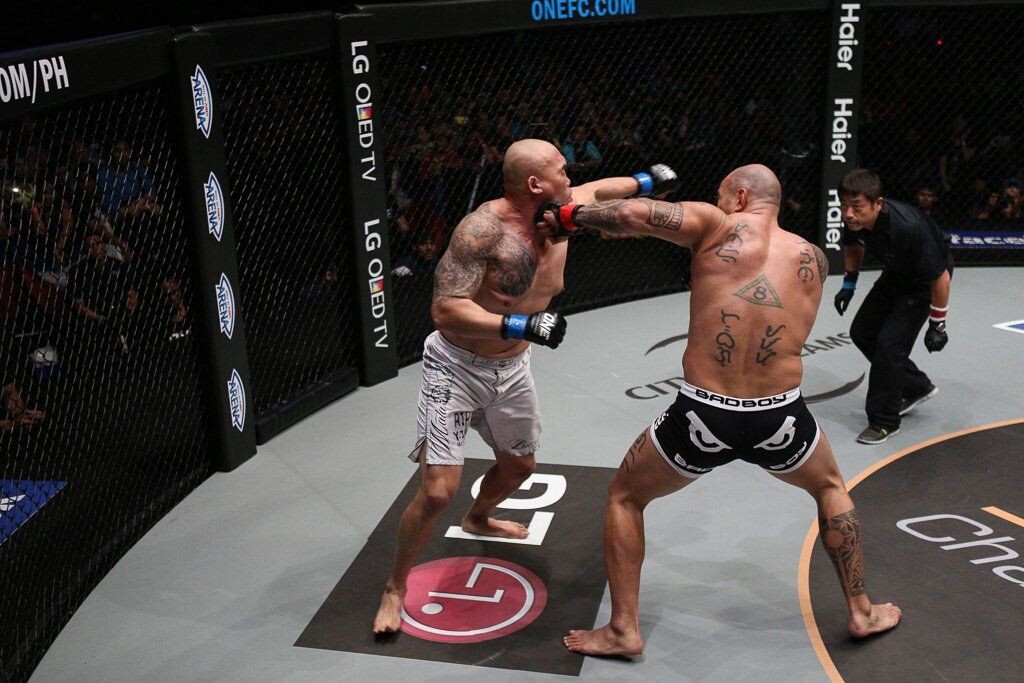 10 Best MMA Head Kick Knockouts in The History 10 Best MMA Head Kick Knockouts in The History