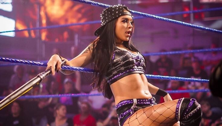 4 Stars from NXT who could debut at Survivor Series 2023  