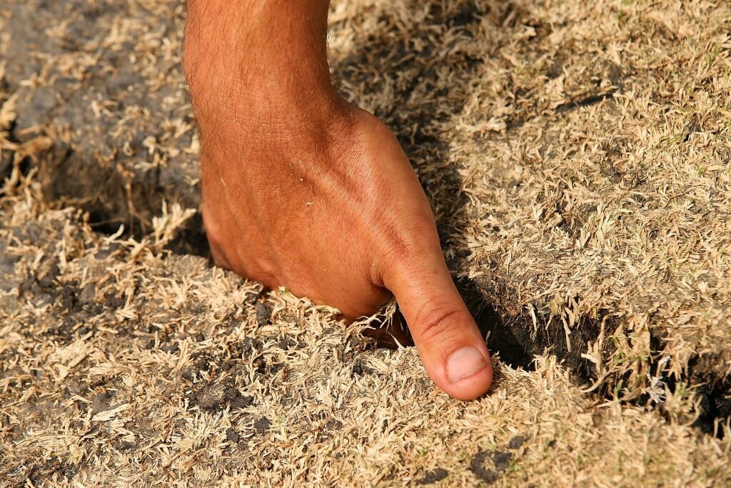 What are the different types of Cricket Pitches? What are the different types of Cricket Pitches?