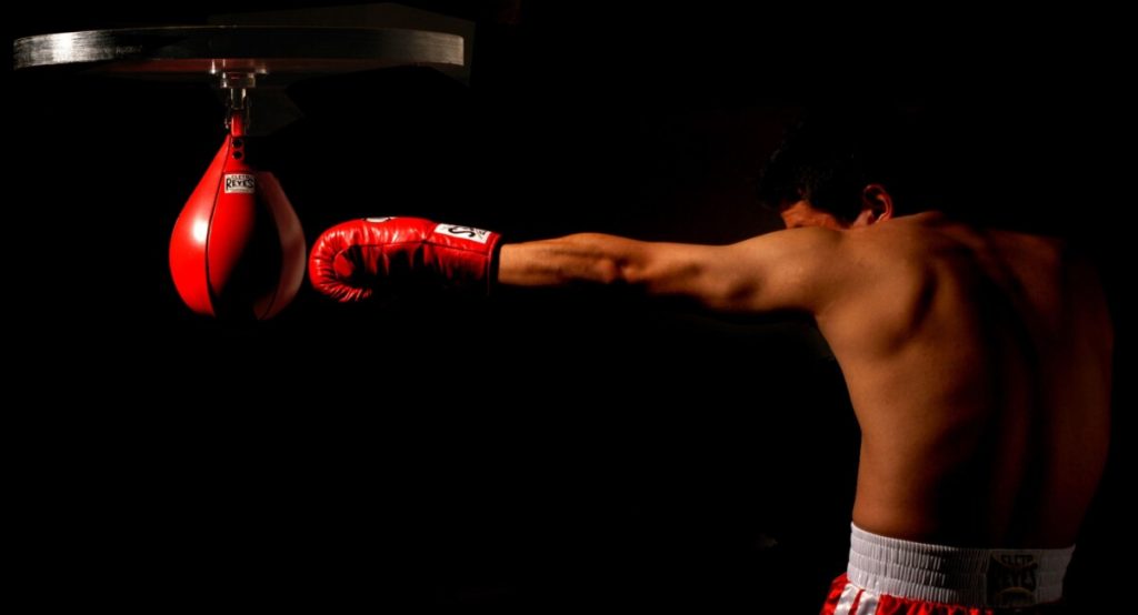 What Are The Qualities of a Great Boxer?  
