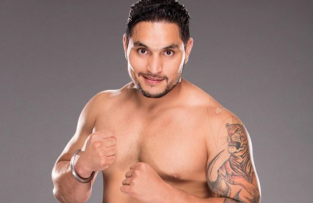 Indian Wrestlers In WWE: Wrestlers Who Made It BIG!  