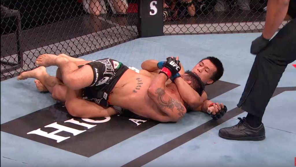 Historic MMA fights that Ended in the Most Spectacular Way  