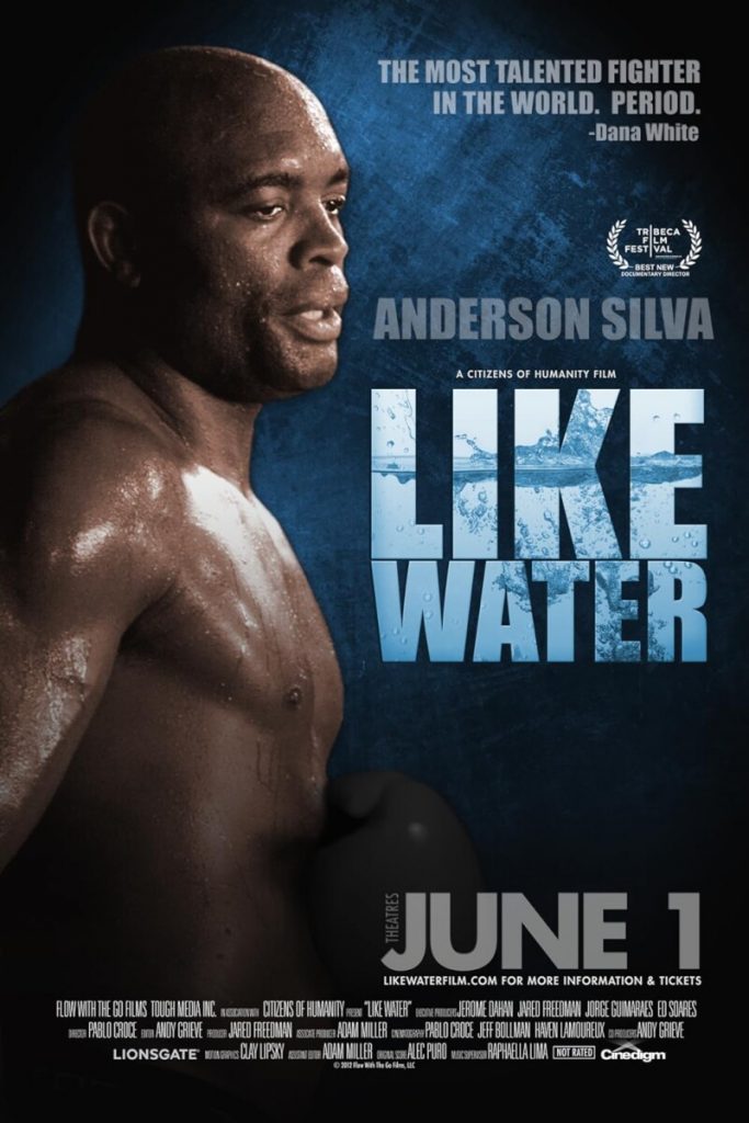 Things UFC Fans Might Not Know About Anderson Silva  
