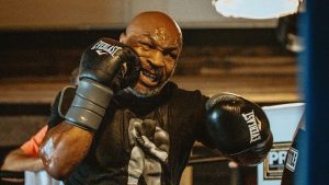 A Comprehensive Guide on Gazelle Punching Technique  