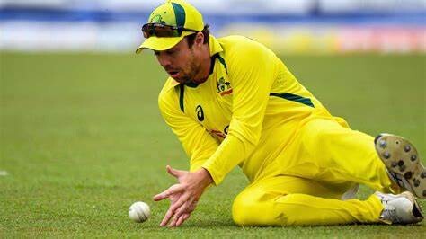 IPL 2024 Fittest Players: Top Contenders  