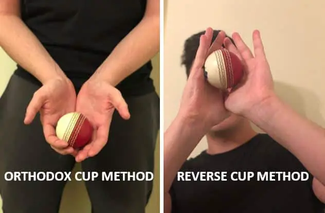 Cricket Tips & Tricks: Tips To Improve Your Catching Skills Cricket Tips & Tricks: Tips To Improve Your Catching Skills