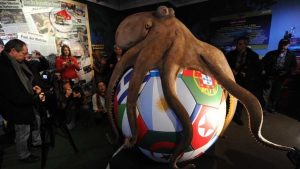 Paul the Octopus and His Unforgettable Legacy Paul the Octopus and His Unforgettable Legacy
