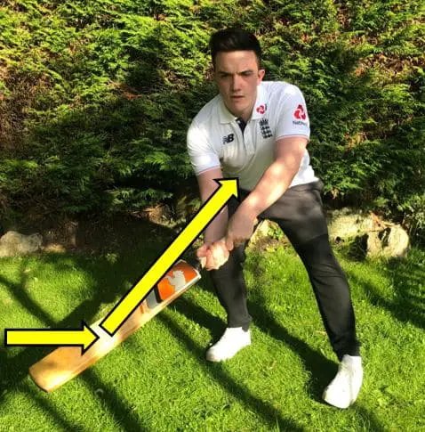 Learn How To Play The Best Cricket Shot Learn How To Play The Best Cricket Shot