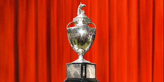 Domestic Cricket Tournaments In India  
