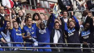 AFC Wimbledon: The Phoenix Rising from Football's Ashes AFC Wimbledon: The Phoenix Rising from Football's Ashes