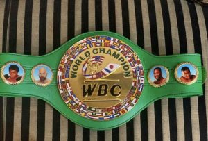 How many boxing titles are there? Explained in detail! How many boxing titles are there? Explained in detail!