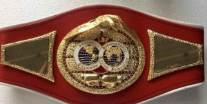 How many boxing titles are there? Explained in detail! How many boxing titles are there? Explained in detail!