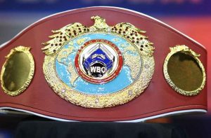 How many boxing titles are there? Explained in detail! How many boxing titles are there? Explained in detail!