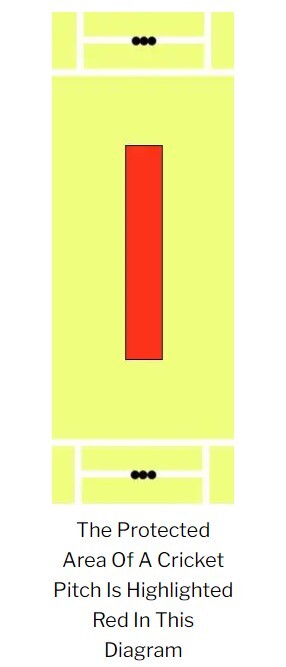 Do You Know Why Batsmen Bat Outside Of Their Crease? Do You Know Why Batsmen Bat Outside Of Their Crease?