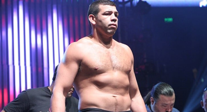 List of The 10 Most Incredible Leg Kickers In UFC History  