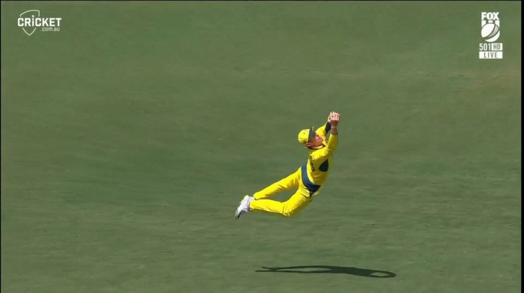Australia Hammers Clueless West Indies In 3rd ODI Australia Hammers Clueless West Indies In 3rd ODI