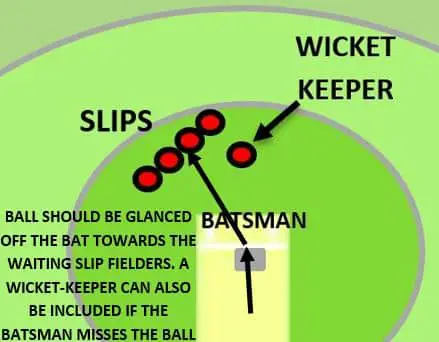 Cricket Tips & Tricks: Tips To Improve Your Catching Skills Cricket Tips & Tricks: Tips To Improve Your Catching Skills
