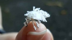 Mind blowing 30 interesting cricket facts for cricket fans! Mind blowing 30 interesting cricket facts for cricket fans!