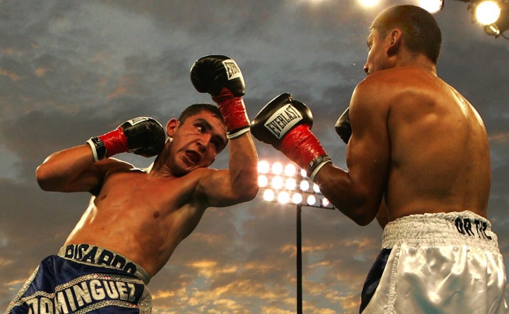 What Are The Qualities of a Great Boxer?  