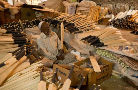 Step by Step Guide On How Cricket Bats Are Made Step by Step Guide On How Cricket Bats Are Made