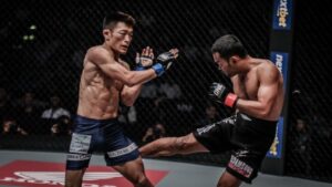 Tips For Wrestlers Who Are Transitioning into MMA  