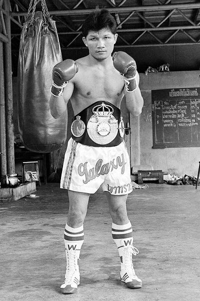 List Of All Weight Divisions In Professional Boxing  