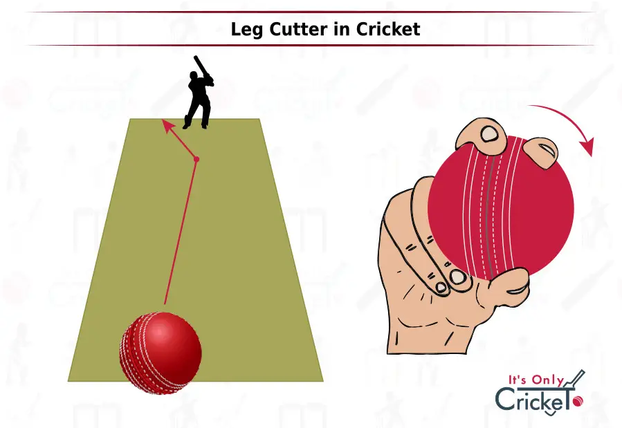Types Of Deliveries In Cricket | Your Question Answered  