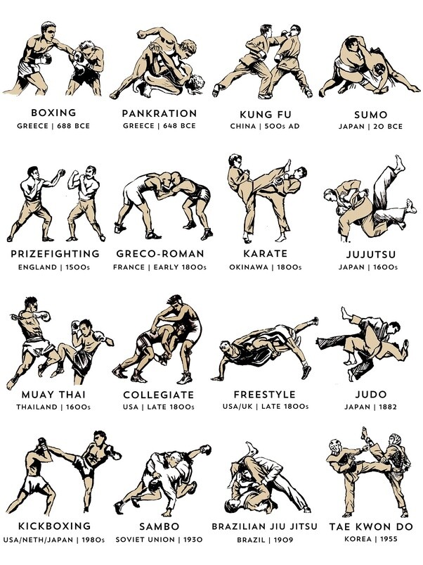 Brazilian Jiu-Jitsu History: The Perfect Martial Art Brazilian Jiu-Jitsu History: The Perfect Martial Art