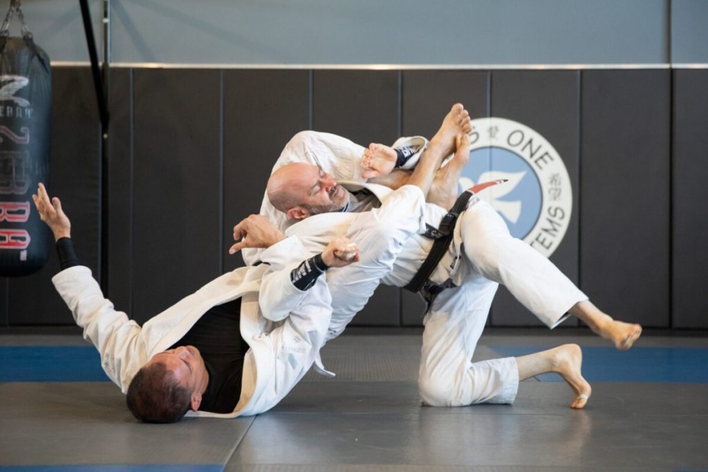 What Are The 4 Types Of Grappling Found In MMA? What Are The 4 Types Of Grappling Found In MMA?