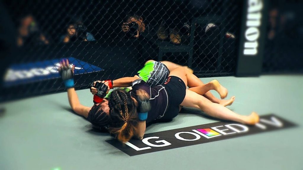 Get To Know the Best MMA Signature Moves  