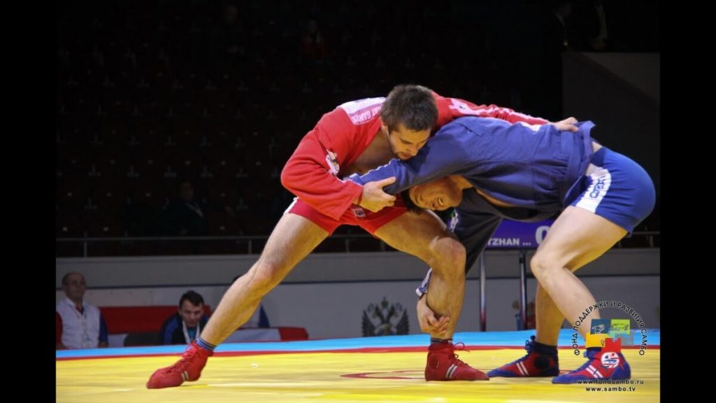 What Are The 4 Types Of Grappling Found In MMA? What Are The 4 Types Of Grappling Found In MMA?