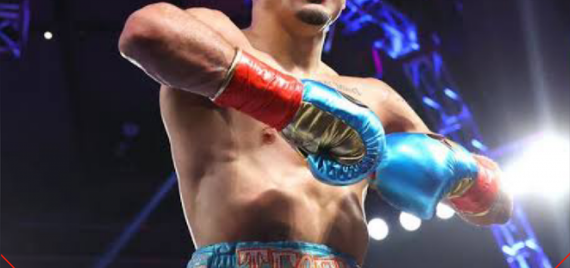 Teofimo Lopez ने कहा लोग इन बातो को आसानी से नही समझेंगे  