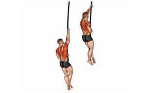 Decoding tips, technique, & essential of pro Rope Climbing Decoding tips, technique, & essential of pro Rope Climbing