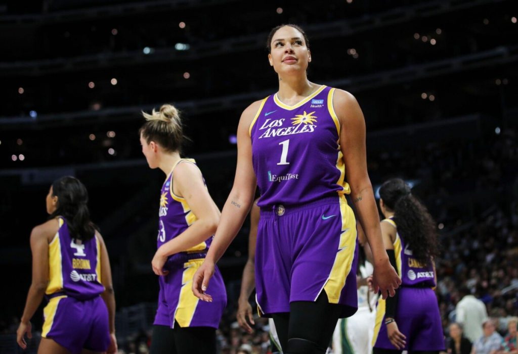 Top 10 Tallest Female Players in the History of WNBA Top 10 Tallest Female Players in the History of WNBA