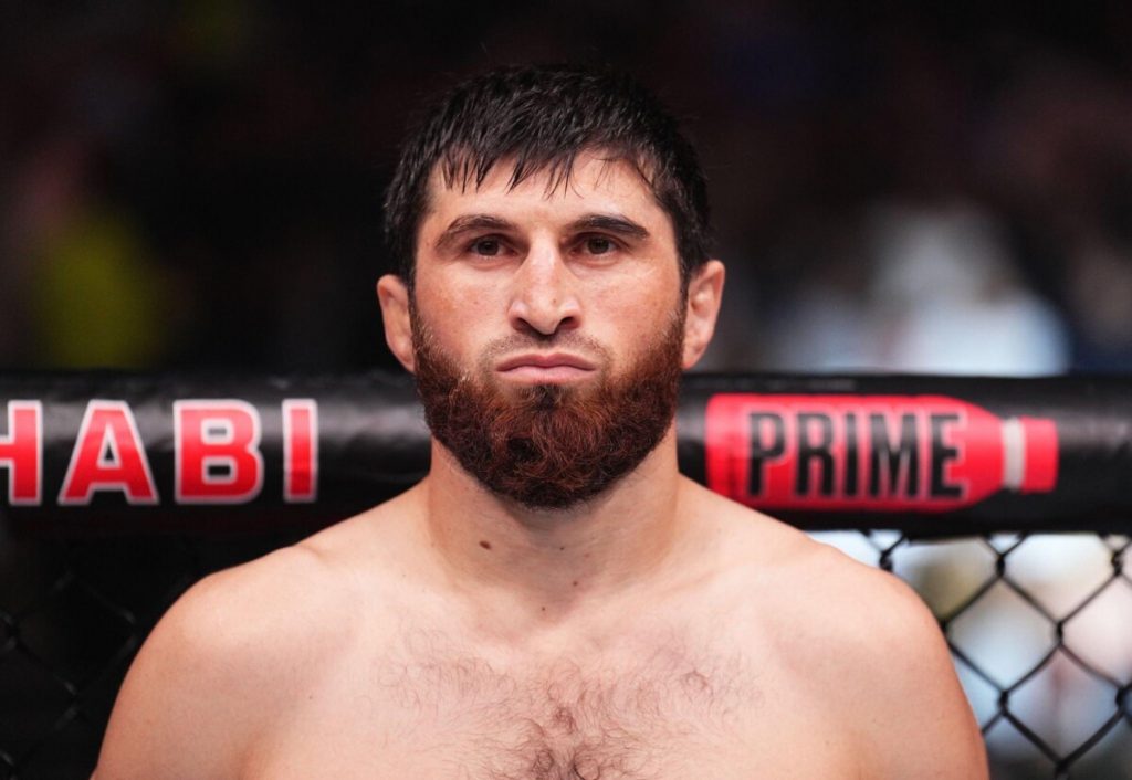 5 Potential Opponents for Light Heavyweight Champ Pereira 5 Potential Opponents for Light Heavyweight Champ Pereira