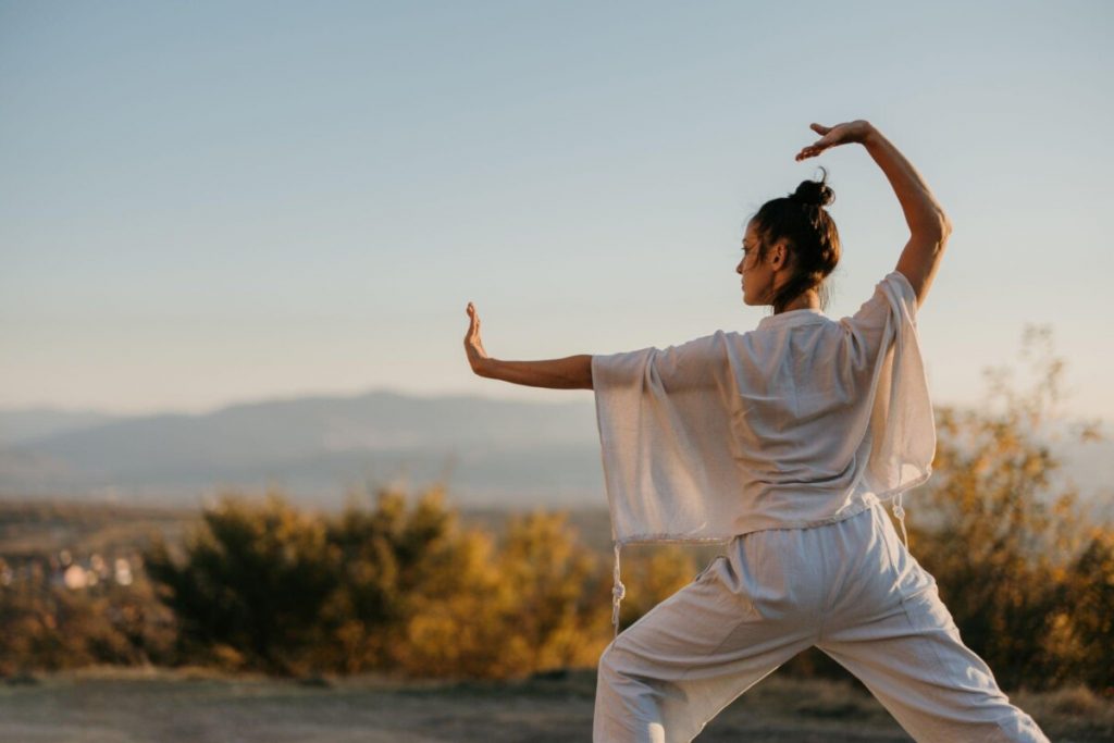 10 Martial Arts That Are Never Used in MMA Fights  