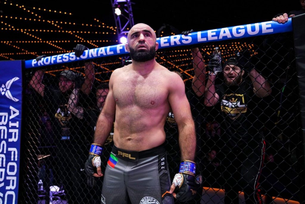 10 Best Ever MMA Fighters To Come Out Of Dagestan  