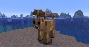 5 Events in Minecraft That Occur Very Rarely  