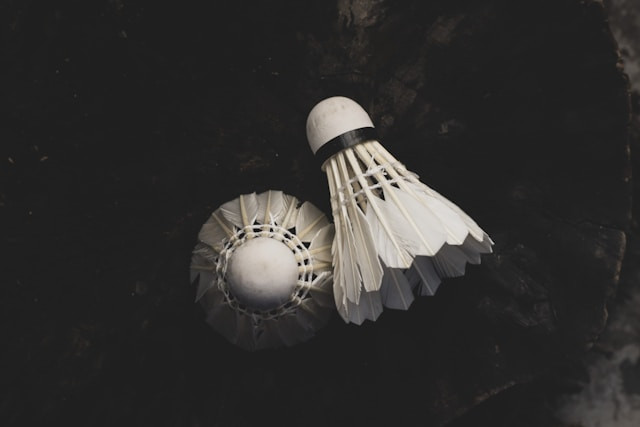 How to Set Up Your Own Backyard Badminton Court This Summer!  