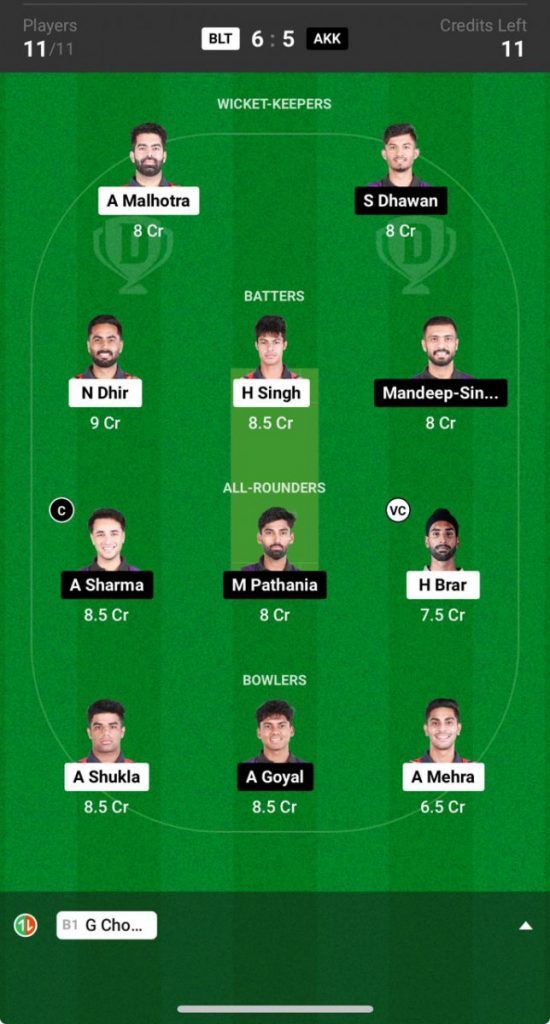 BLV Blasters vs Agri Kings Knights Prediction, BLT vs AKK, Sher E Punjab T20  