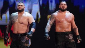 Triple H motivated this tag team to push themselves at WrestleMania Triple H motivated this tag team to push themselves at WrestleMania